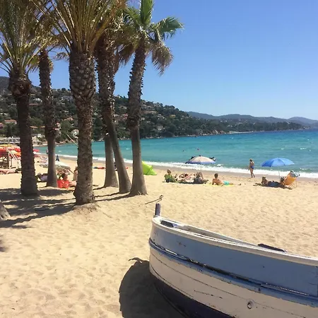 With One Bedroom In Le Lavandou, With Wonderful Mountain Vie Apartment Le Lavandou